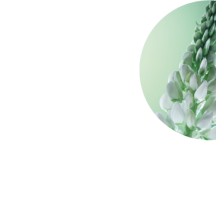 Tremoceiro Branco | Yves Rocher Portugal